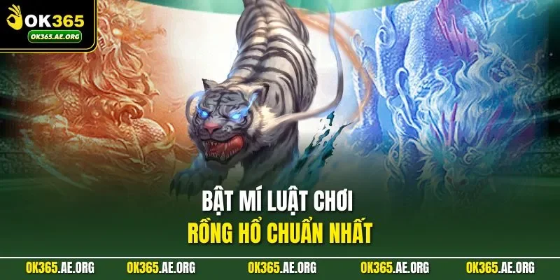 Luật Chơi Rồng Hổ | 3 Bước Soi Cầu Hay Của Cao Thủ 1 Bật mí luật chơi Rồng Hổ chuẩn nhất