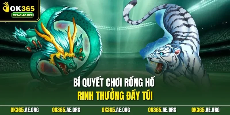 Luật Chơi Rồng Hổ | 3 Bước Soi Cầu Hay Của Cao Thủ 3 Bí quyết chơi Rồng Hổ rinh thưởng đầy túi