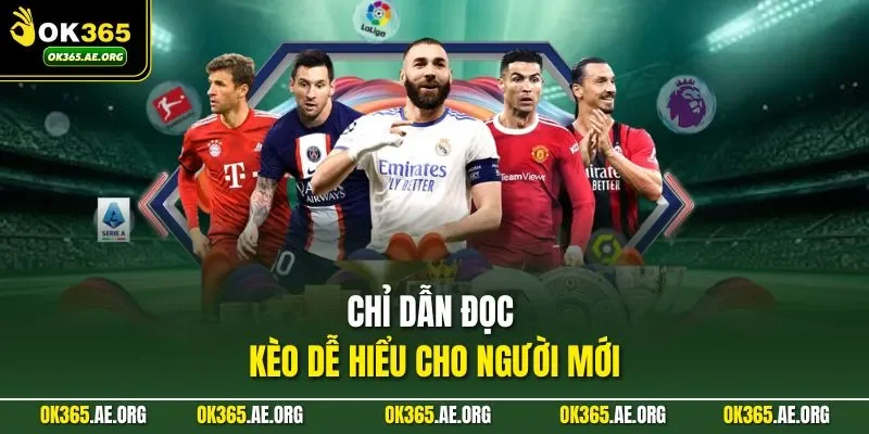 Chỉ dẫn đọc kèo dễ hiểu cho người mới