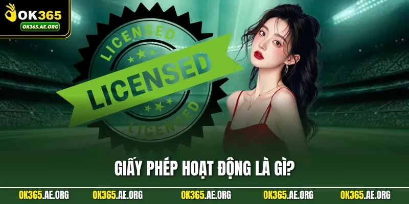 Giấy Phép Hoạt Động Ok365 1 Giấy phép hoạt động là gì?