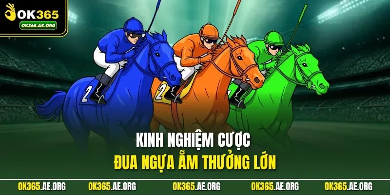 Kinh nghiệm cược đua ngựa ẵm thưởng lớn