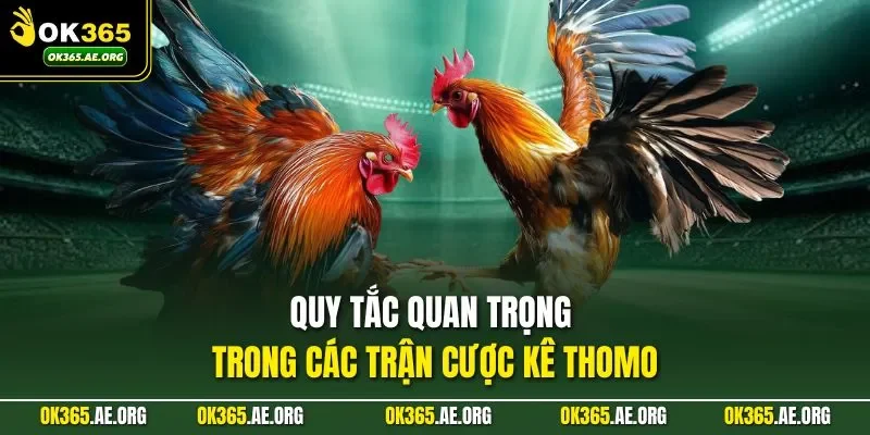 Quy tắc quan trọng trong các trận cược kê Thomo
